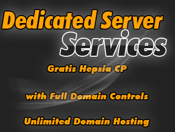 Affordable dedicated hosting servers services